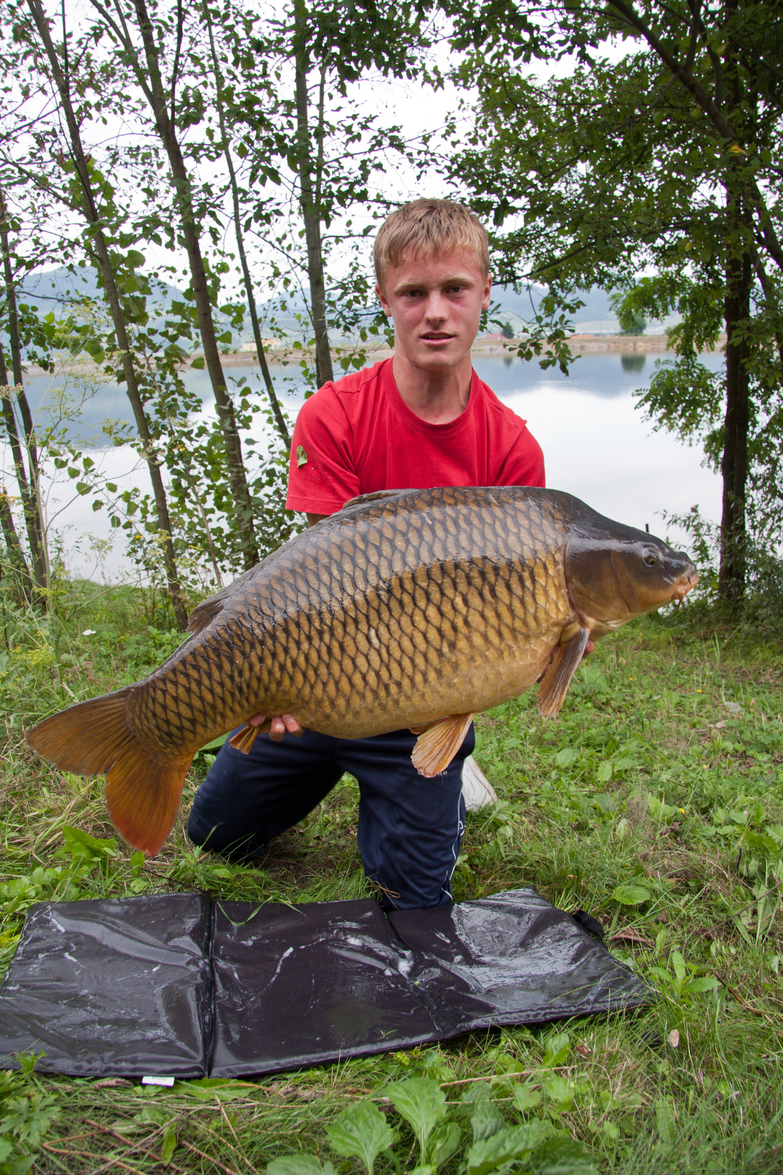 20 kg Milo Vlado 8.2013